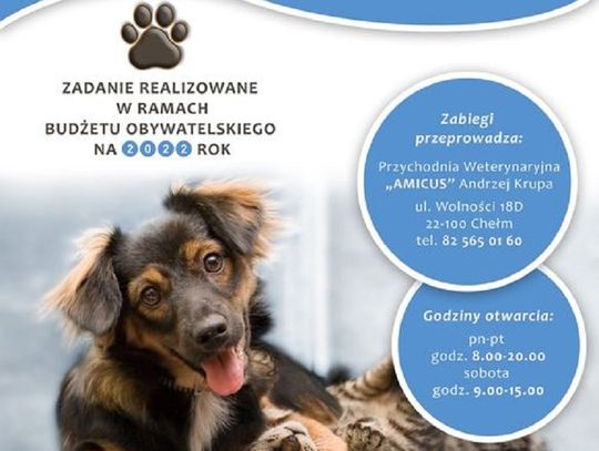 Chełm: To już ostatni dzwonek na bezpłatną kastrację i sterylizację Twoich pupili!