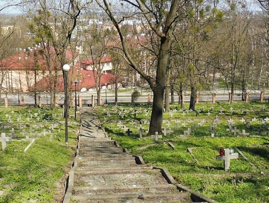 Chełm. Trzeba odnowić cmentarz wojenny. Miasto czeka na wykonawcę