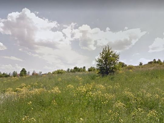 Chełm: Wilkowski upomina się o Batorego