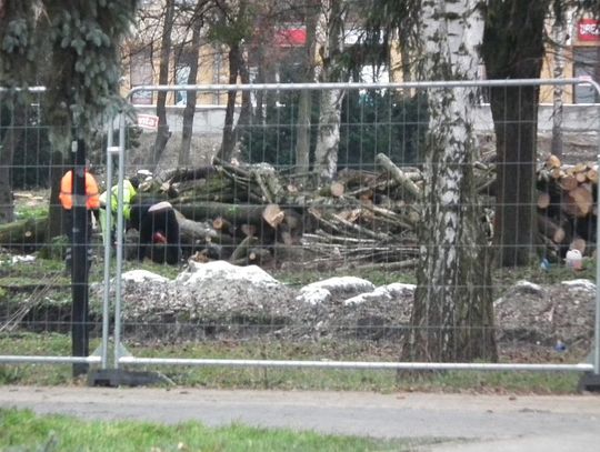 Chełm. Wycinka przykra, ale konieczna. Mieszkańcy nie mogą na to patrzeć...