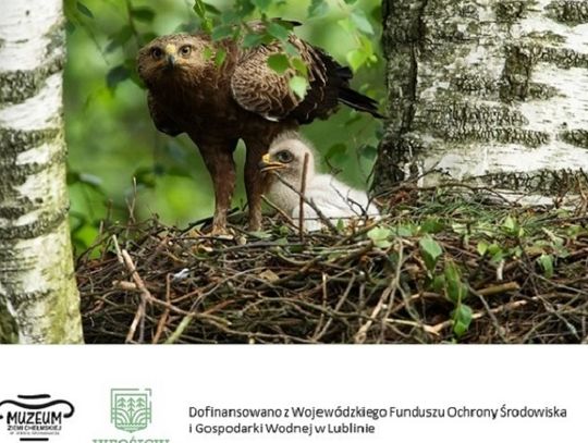 Chełm. Wyjdźmy w teren z Muzeum Ziemi Chełmskiej