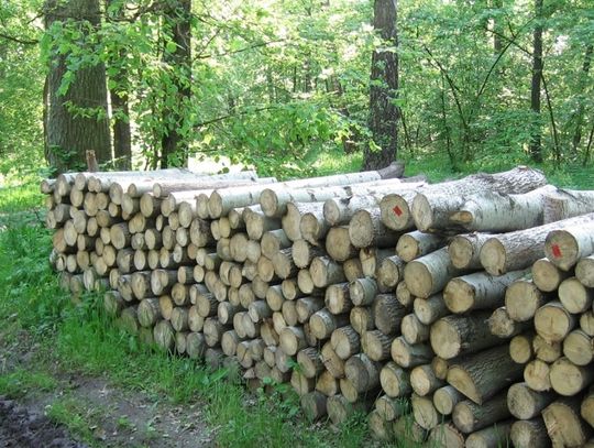 Chełm: Za drewno zapłacisz kartą