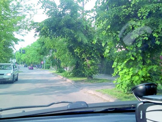 Chełm: Zielone... ale nie światło