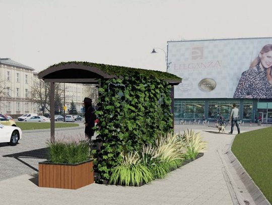 Chełmianie chcą ekologicznych przystanków