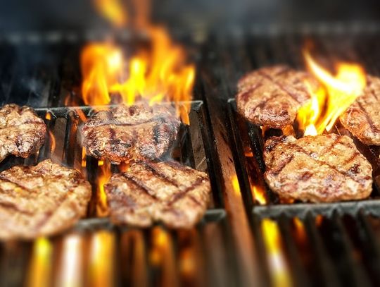 Chełmianie chcą grillować w lesie