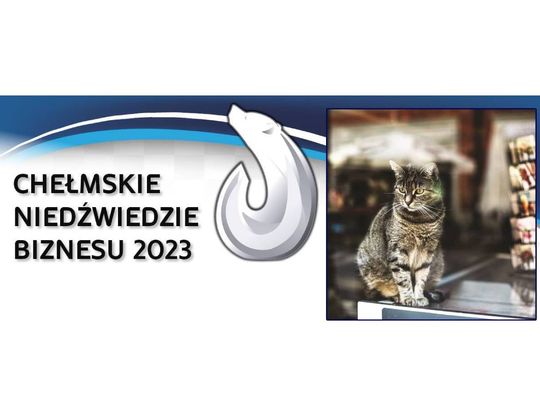 Chełmskie Niedźwiedzie Biznesu 2023. Café Kot - kocia kawiarnia [Kategoria: MIKROPRZEDSIĘBIORSTWO ROKU]