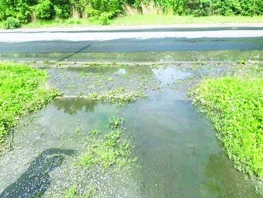 Chełm: Zapomniana Fabryczna