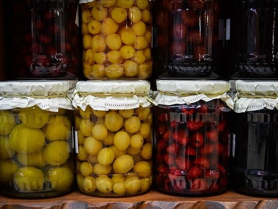 Chełm: Zbieramy słoiki dla schroniska