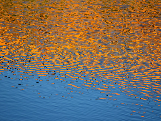 Ciało 33-latka pływało w stawie