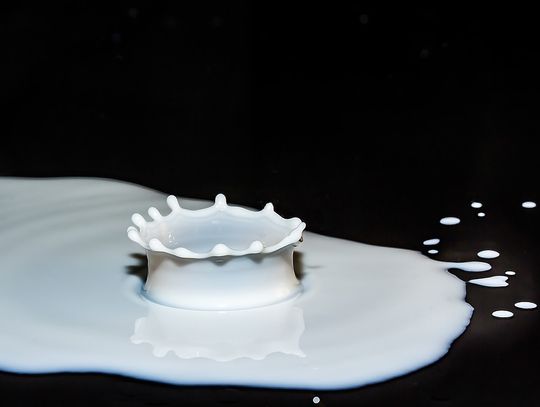 Cios nożem w brzuch za rozlane mleko | Super Tydzień