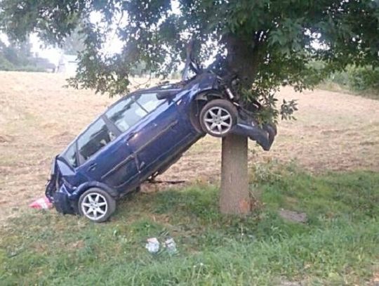 Clio wjechało na drzewo