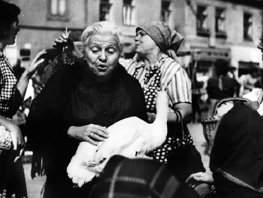 Czeski klasyk i spotkanie w DKF Rewers | Super Tydzień