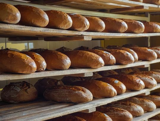 Czy zabraknie nam chleba?