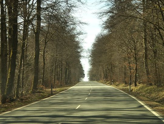 Czyja gmina najważniejsza? Czyja gmina najważniejsza?