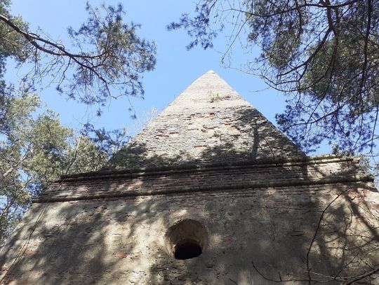 Dach arianki zarasta drzewkami