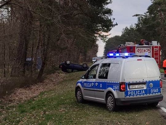 Dachował po zderzeniu z łosiem. W samochodzie były małe dzieci