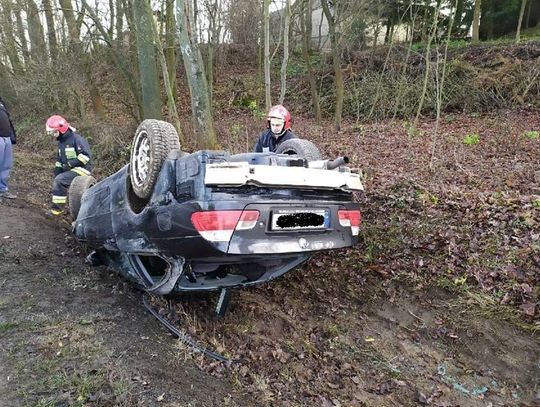 Dachowanie w Borówku