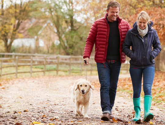 Długi weekend w listopadzie i dużo wolnego w grudniu