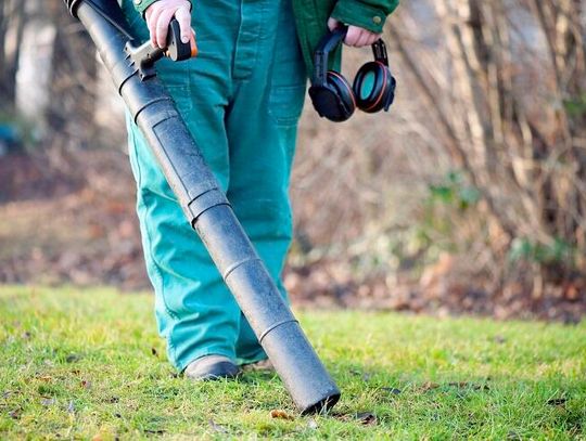 Dmuchawa do liści nie tylko na jesień Dmuchawa do liści nie tylko na jesień