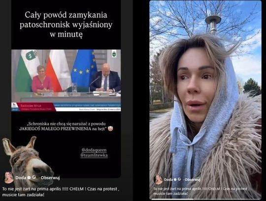 Doda uderza w wiceprezydenta Chełma. Poszło o "małe przewinienie” w schroniskach