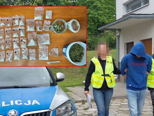 Domowa plantacja i mefedron w szafie. 24-latek z powiatu chełmskiego aresztowany