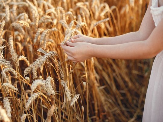 Dożynki w Izbicy - Święto plonów i tradycji