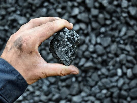 Dramat milionów Polaków: nie będą mieli czym palić zimą. Wiemy, po ile węgiel w Chełmie