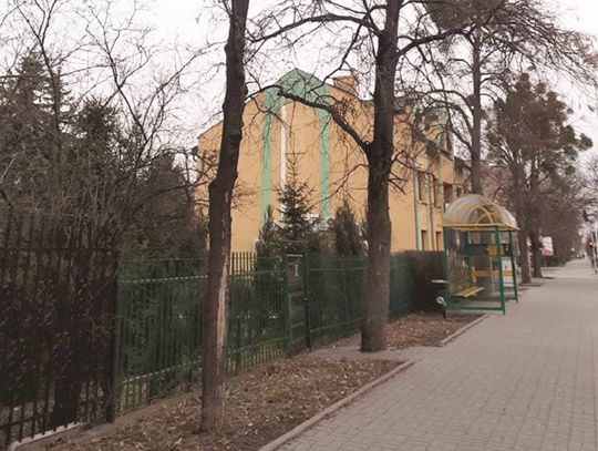 Drzewo miało zniknąć