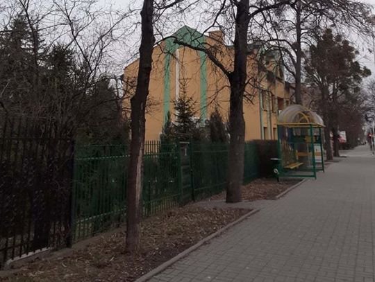 Drzewo przerosło urzędników?