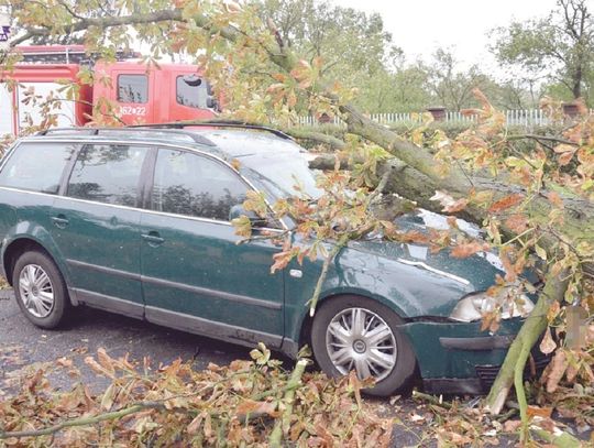 Drzewo upadło na samochód