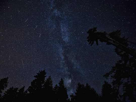 Dziś noc spadających gwiazd! Spadnie nawet sto Perseidów na godzinę