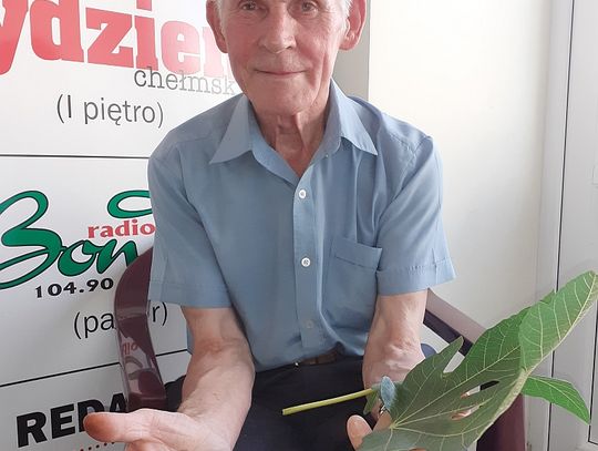 Figa pana Stanisława