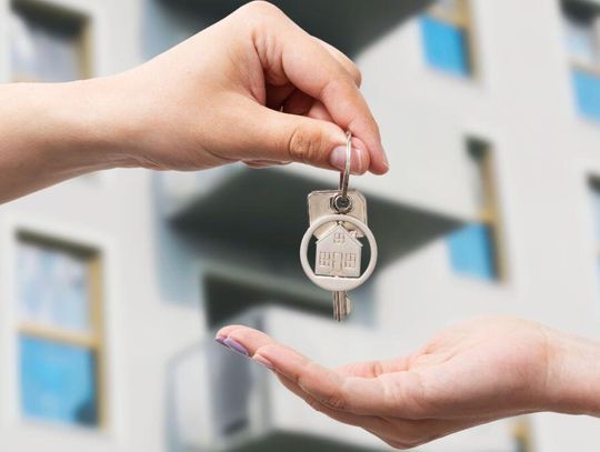 Fiskus bierze ich na celownik. Specjalny system przegląda internet i typuje cel