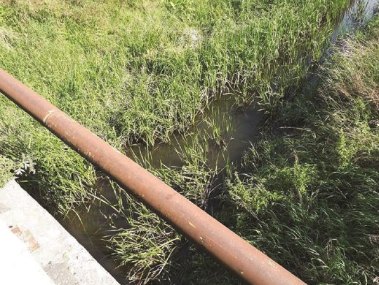 Gdzie jest rzeka, a gdzie łąka?