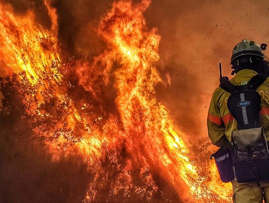 Gigantyczna kara za wypalanie traw. Mocno uderzy po kieszeni