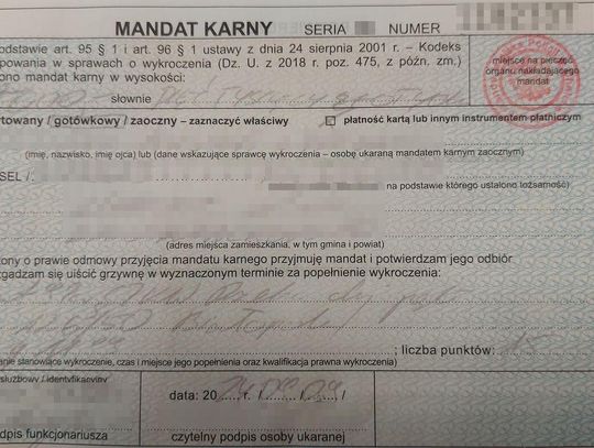 Gm. Białopole. 5 tys. zł mandatu i utrata prawa jazdy. Za co tyle dostał?