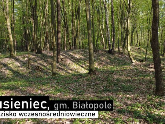 Ukryte pośród lasów gminy Białopole, niemal niewidoczne dla przypadkowych przechodniów, wczesnośredniowieczne grodzisko w Busieńcu pozostaje jedną z największych archeologicznych zagadek wschodniej Lubelszczyzny. Potężne wały, ślady dawnych umocnień i zaskakująco niewielka liczba odkrytych zabytków.