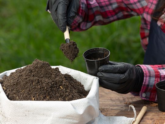 W ostatnich obradach rady gminy wziął udział Jan Kokoszka, właściciel posesji położonej w bezpośrednim sąsiedztwie działki, na której spółka Agrocal zamierza wybudować zakład przetwarzający ściekowe osady na granulat nawozowy. O planach spółki i związanych z tym kontrowersjach informowaliśmy już.