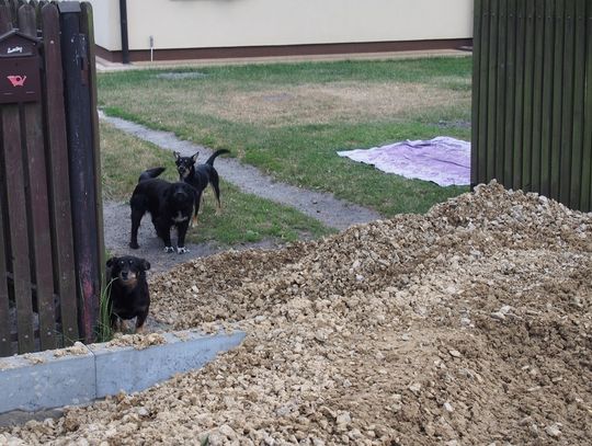 Gm. Chełm: Budowa ścieżki idzie jak po grudzie