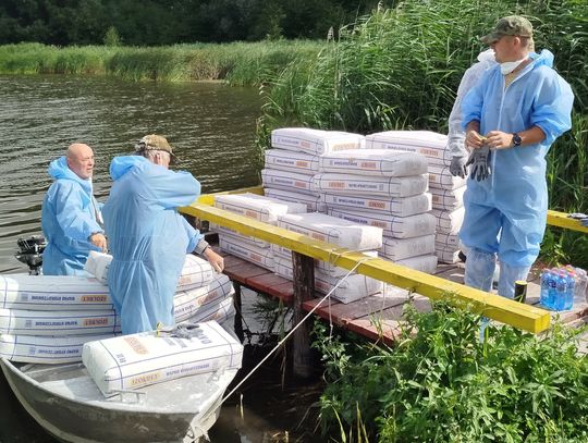 Gm. Chełm. Martwe ryby w Stańkowie pod lupą śledczych. Prokuratura wszczęła śledztwo. WIOŚ nałożył mandat