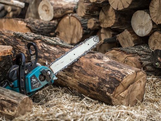 W czasie ostatniej sesji przewodnicząca rady Małgorzata Sarzyńska podziękowała wójtowi Wojciechowi Sawie za czujność i otwartość na najbardziej potrzebujących mieszkańców gminy. - Proszę, aby pan wójt czuwał nad osobami samotnymi tak, jak to czynił do tej pory. Oni nie mogą liczyć na niczyją pomoc.