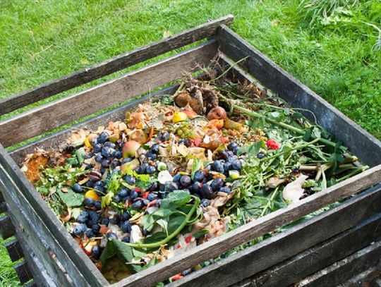 Gm. Dorohusk. Kompostowniki pod lupą urzędników. Sprawdzą, czy należy Ci się ulga