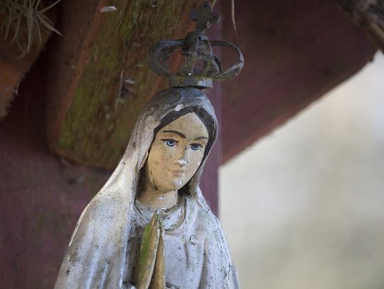 Gm. Dubienka: Porwali Matkę Boską!