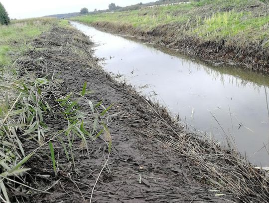 Gm. Dubienka. Ryby nie przeżyły czyszczenia? Mieszkańcy niepokoją się o Wełniankę