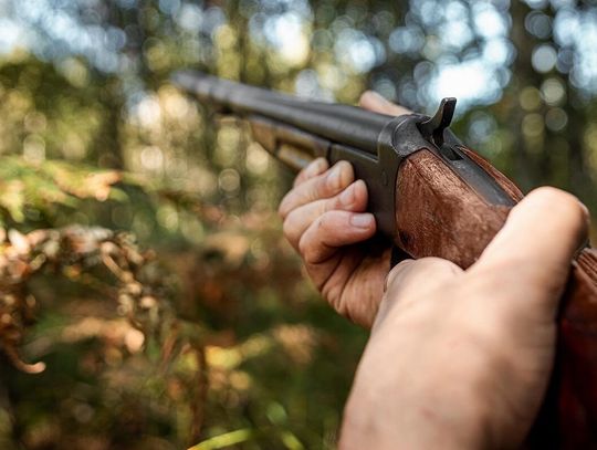 Gm. Gorzków. Będą polowania zbiorowe. Można się sprzeciwiać