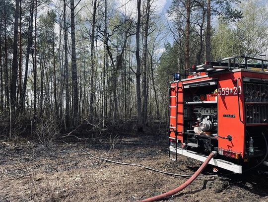 Gm. Hańsk. Pożar w Osowie. Płonęły prawie 2 hektary lasu