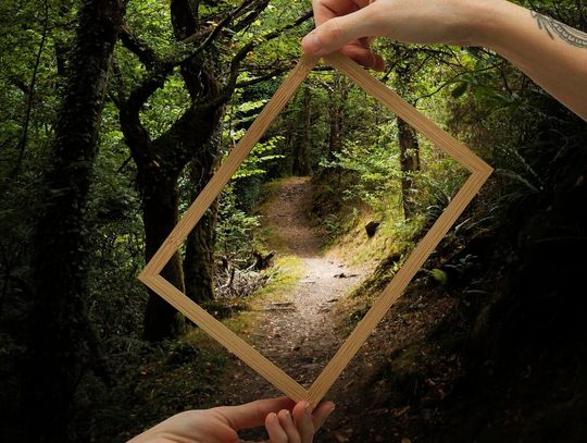 Gm. Izbica. Kraszczady – czy gmina dołączy do obszarów chronionych?