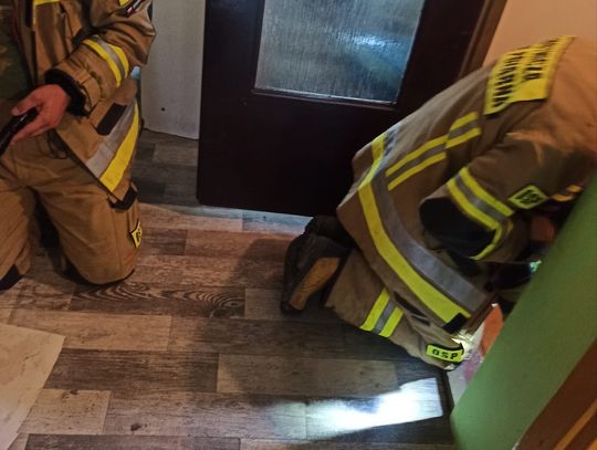 Gm. Kamień. Strażacy szukali w domu gada, a on się rozpłynął...