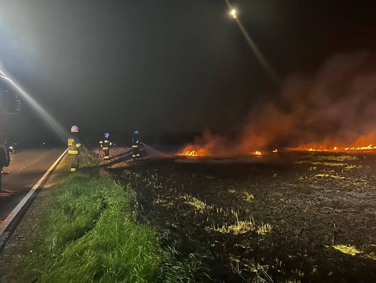 Gm. Kraśniczyn. Pożar ścierniska w Wólce Kraśniczyńskiej