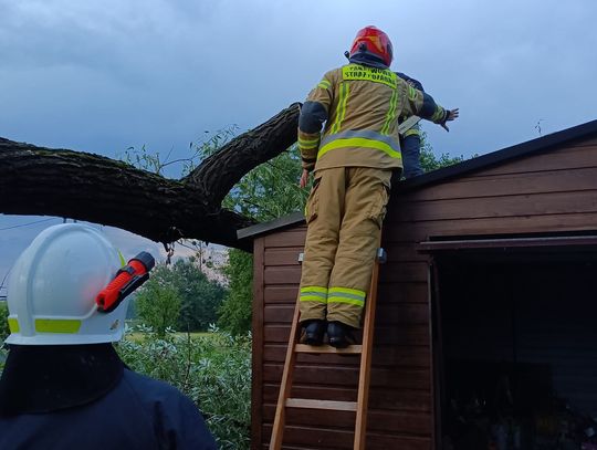 Gm. Kraśniczyn. Wierzba runęła na garaż, wzywano strażaków